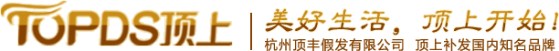 杭州顶丰假发有限公司